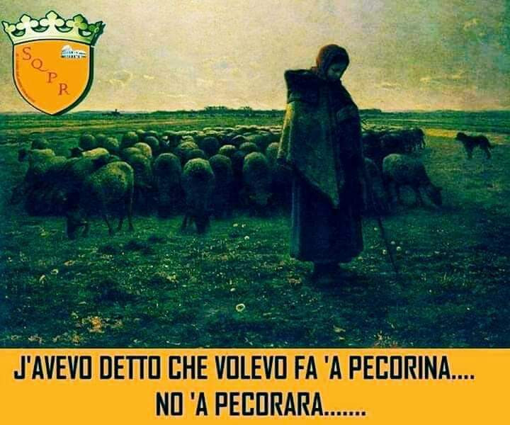Pecorina