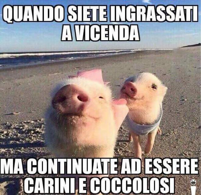 Tanto Carini E Coccolosi Bestiaccia Pubblicata Da Robertina Facciabuco Com