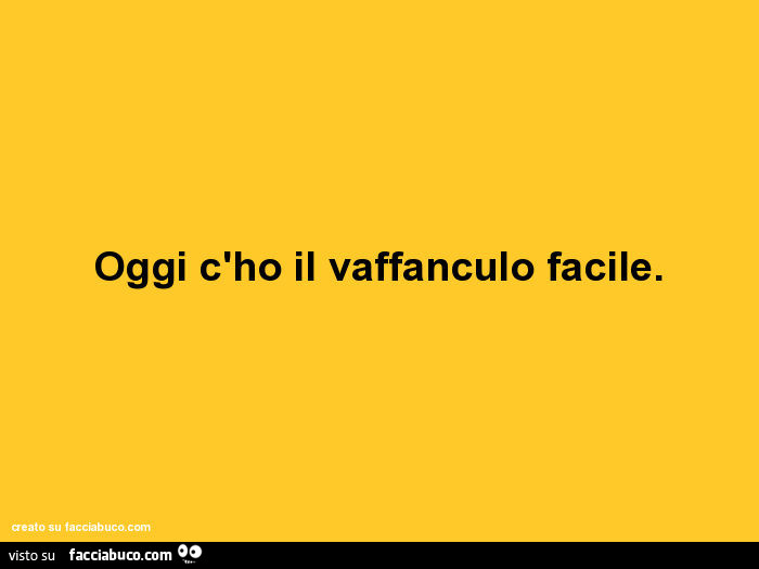 Oggi c'ho il vaffanculo facile