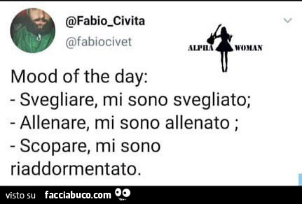 Mood of the day: svegliare, mi sono svegliato; allenare, mi sono allenato; scopare, mi sono riaddormentato