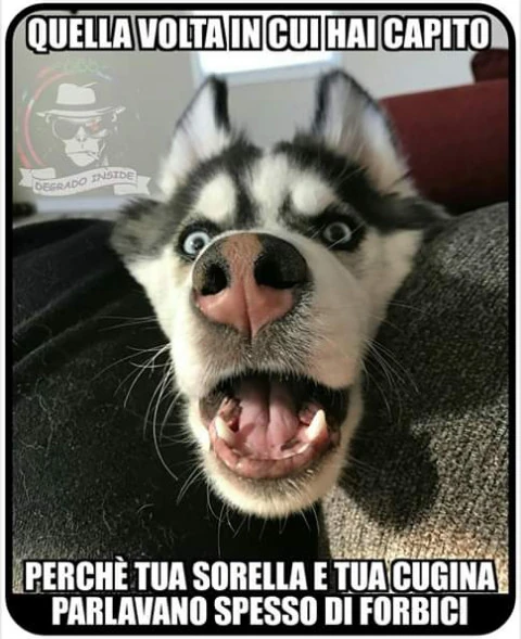 Quella volta in cui hai capito perché tua sorella e tua cugina parlavano spesso di forbici