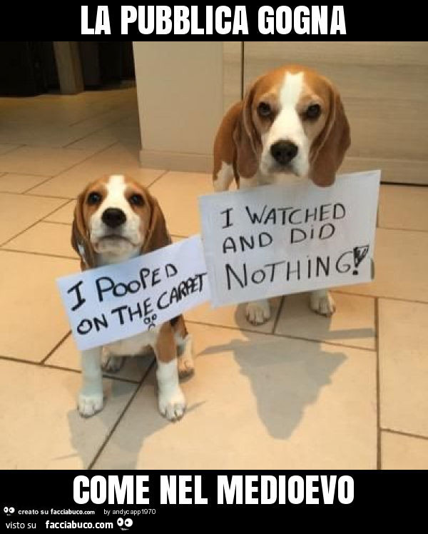 La pubblica gogna come nel medioevo