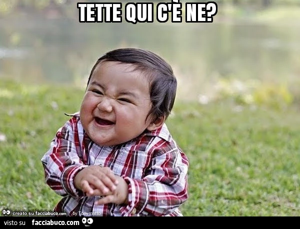 Tette qui c'è ne?