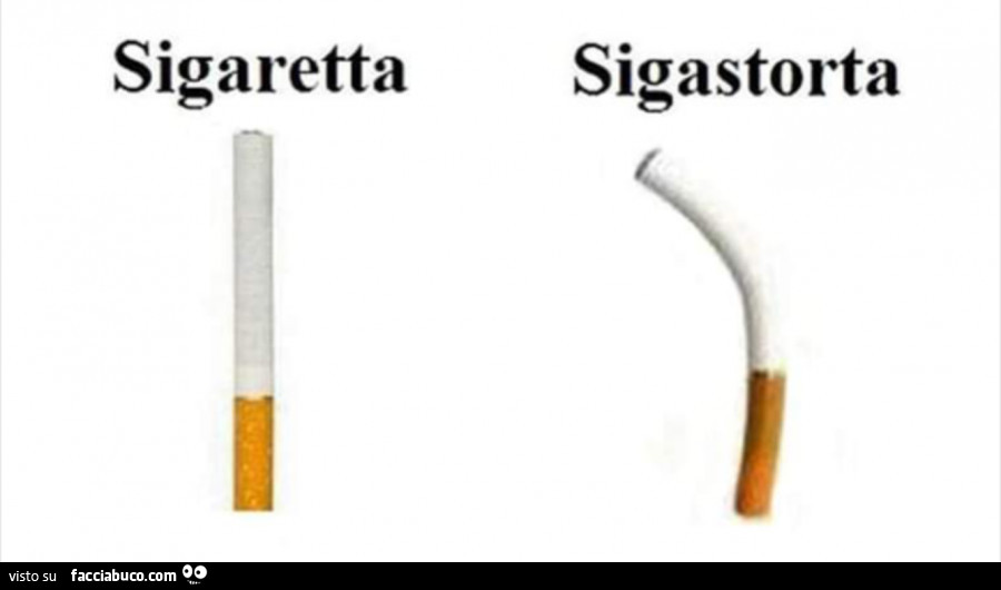 Sigaretta sigastorta besti. R