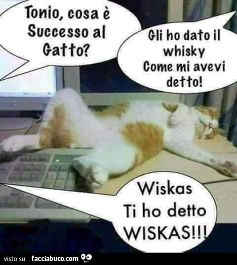 Whisky
