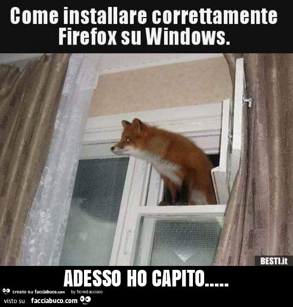 Come installare correttamente firefox su windows. Adesso ho capito