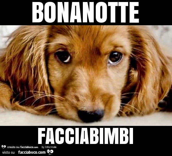 Bonanotte facciabimbi