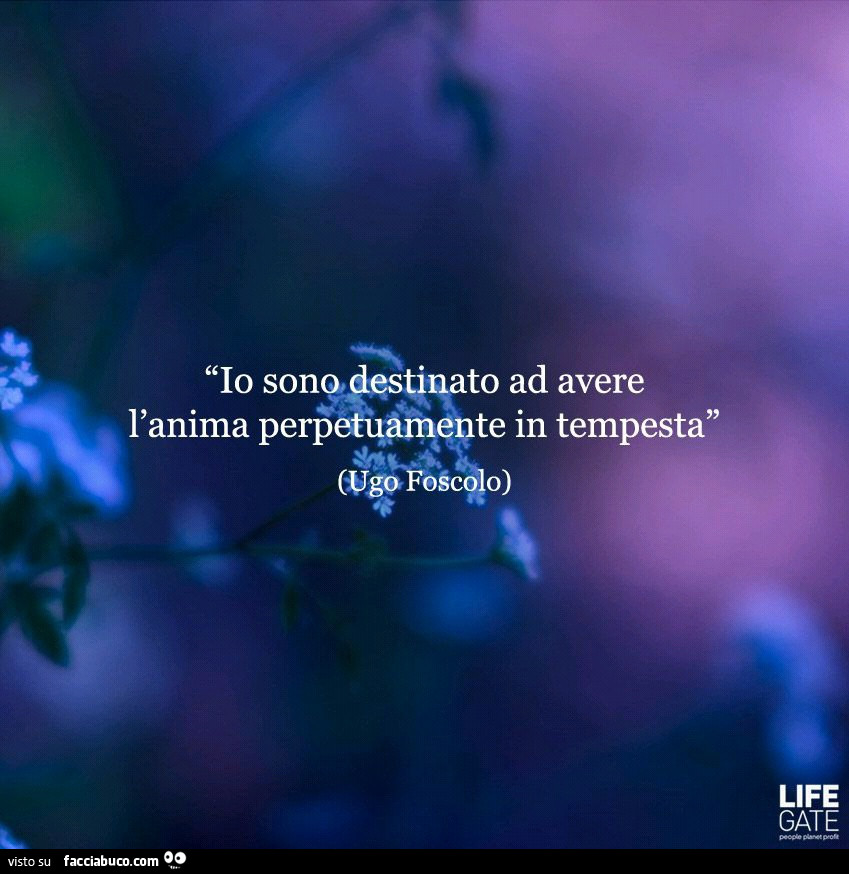 Io sono destinato ad avere l'anima perpetuamente in tempesta. Ugo Foscolo
