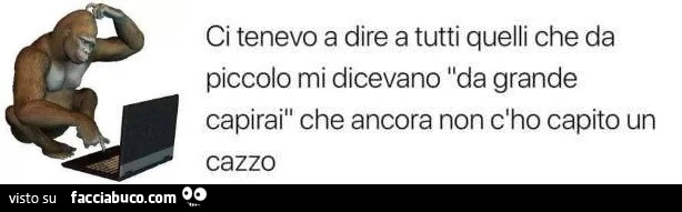 Ci tenevo a dire a tutti quelli che da piccolo mi dicevano da grande capirai che ancora non c'ho capito un cazzo