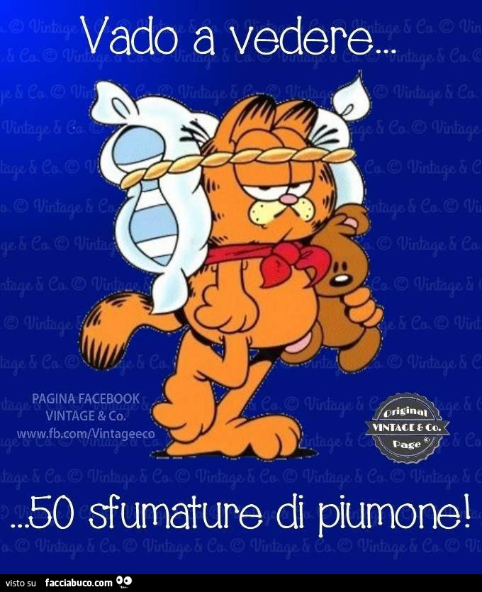 Vado a vedere 50 sfumature di piumone