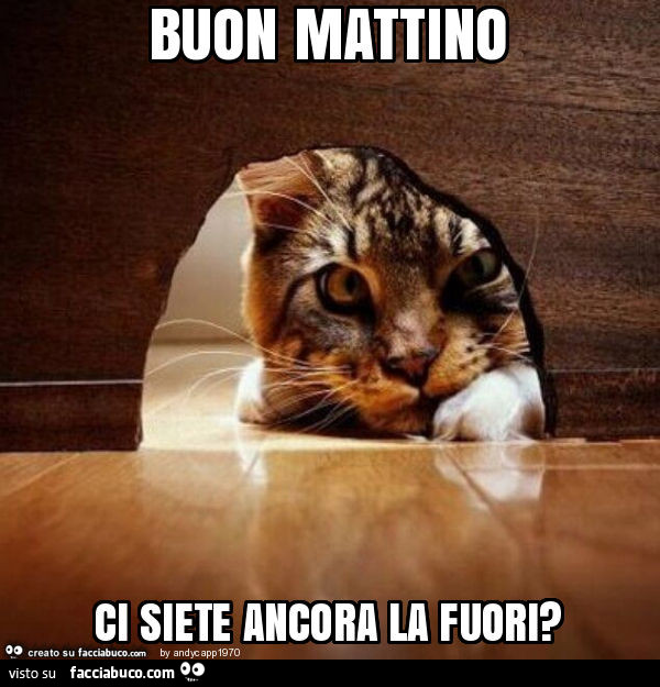 Buon mattino ci siete ancora la fuori?