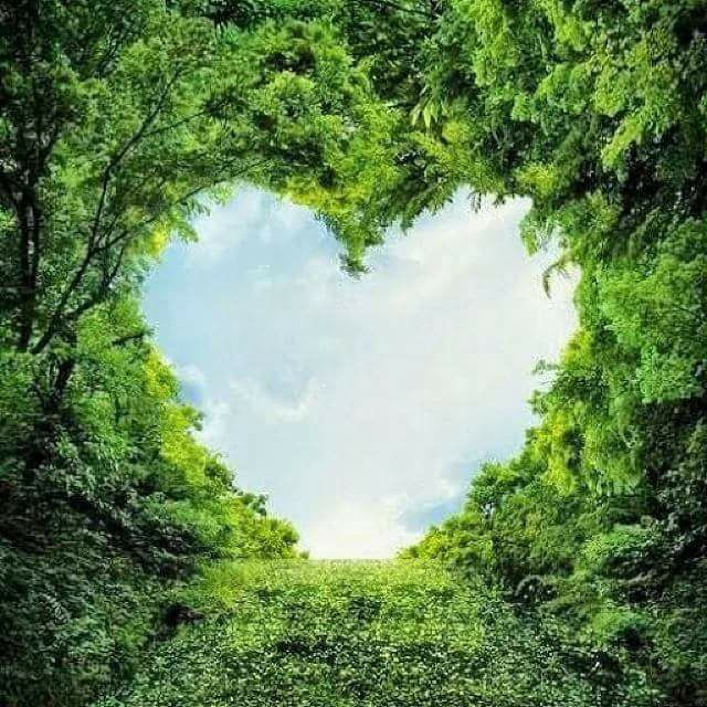 Che il vostro cuore sia sempre colmo d'amore. Una vita senza amore è come un giardino senza sole e coi fiori appassiti. La coscienza di amare ed essere amati regalano tale calore e ricchezza alla vita che nient'altro può portare. (Oscar Wilde)