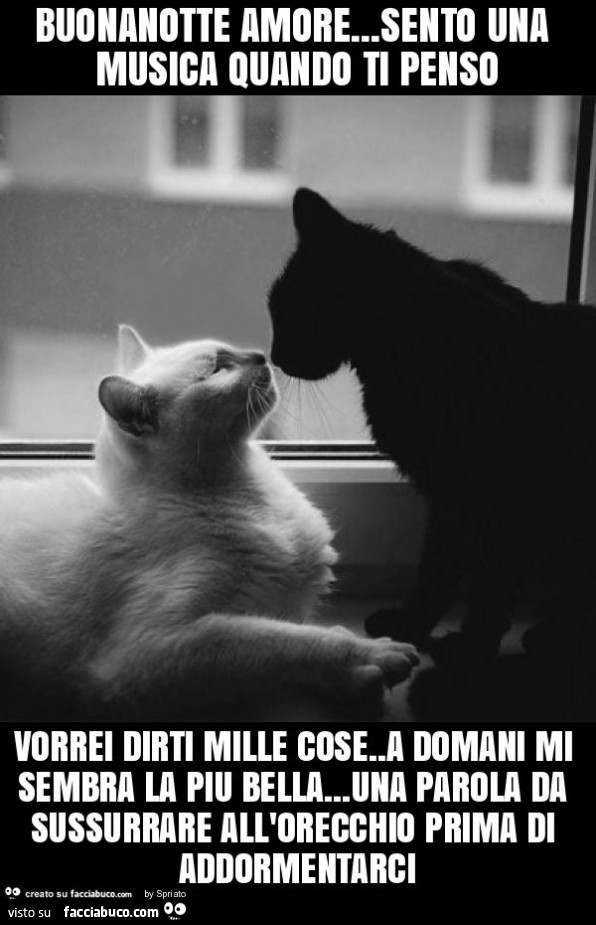 Buonanotte amore… sento una musica quando ti penso vorrei dirti mille cose. A domani mi sembra la piu bella… una parola da sussurrare all'orecchio prima di addormentarci