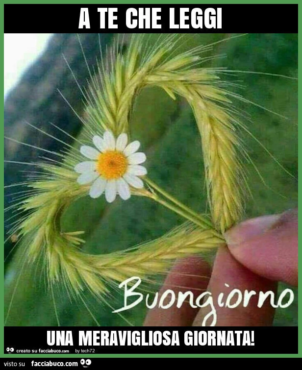 A te che leggi una meravigliosa giornata