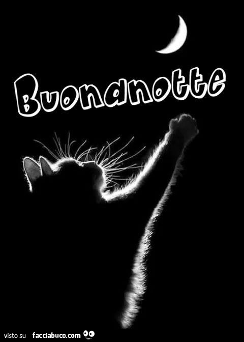 Bracciale In Argento 925 Con Ciondoli Fase Lunare, Tulipano, Gatto E Farfalla - Gioiello Significativo Per La Festa Della Mamma