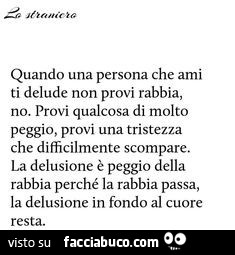 Quando una persona che ami ti delude non provi rabbia, no. Provi qualcosa di molto peggio, provi una tristezza che difficilmente scompare. La delusione è peggio della rabbia perché la rabbia passa, la delusione in fondo