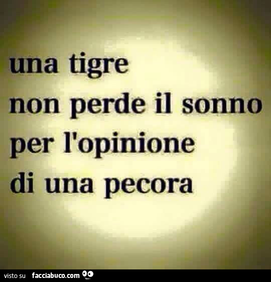 Una tigre non perde il sonno per l'opinione di una pecora