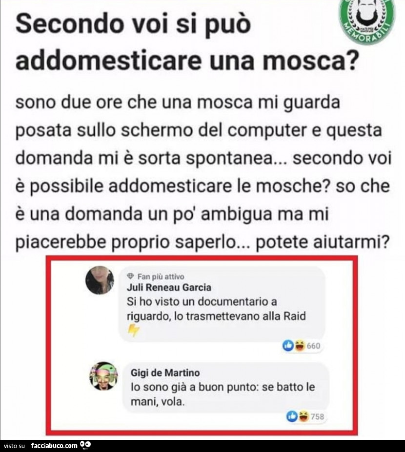 Secondo voi si può addomesticare una mosca? Sono due ore che una mosca mi guarda posata sullo schermo del computer e questa domanda mi è sorta spontanea… secondo voi è possibile addomesticare le mosche?