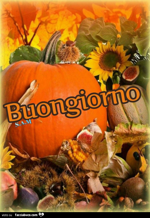 Zucca di halloween. Buongiorno