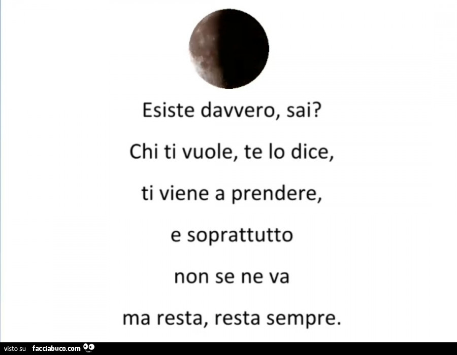 Esiste davvero, sai? Chi ti vuole, te lo dice, ti viene a prendere, e soprattutto non se ne va ma resta, resta sempre