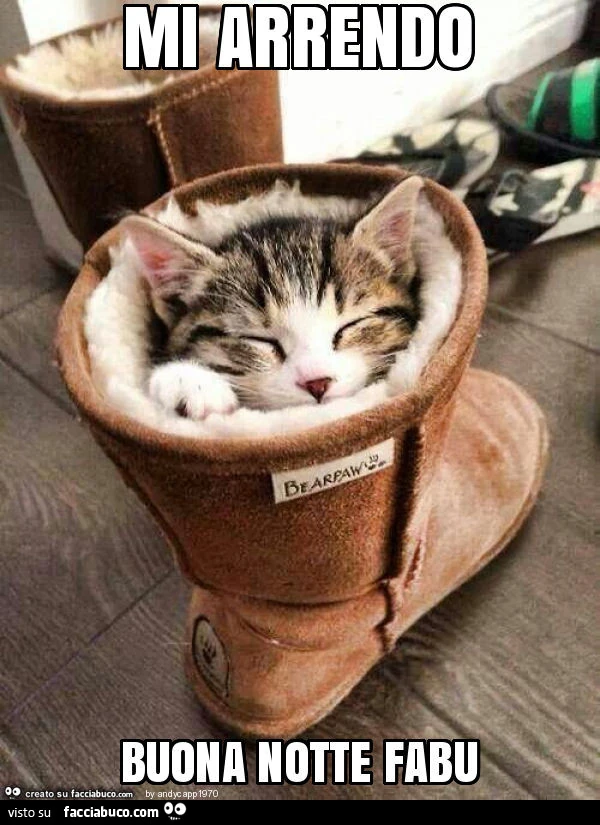 Mi arrendo buona notte fabu
