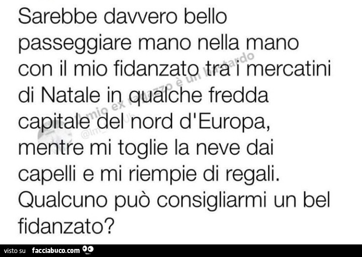 Sarebbe davvero bello passeggiare mano nella mano d0 con il mio fidanzate trai mercatini di natale io qualche fredda capitale del nord d'europa, mentre mi toglie la neve dai capelli e mi riempie di regali. Qualcuno può consigliarmi un bel fidanzato?