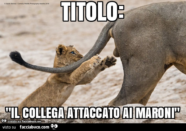 Titolo: "il collega attaccato ai maroni"