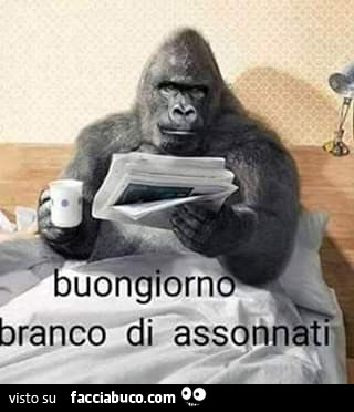 Buongiorno branco di assonnati