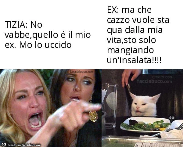 Tizia: no vabbe, quello é il mio ex. Mo lo uccido. Ex: ma che cazzo vuole sta qua dalla mia vita, sto solo mangiando un'insalata