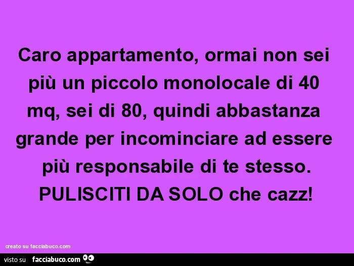 Caro appartamento, ormai non sei più un piccolo monolocale di 40 mq, sei di 80, quindi abbastanza grande per incominciare ad essere più responsabile di te stesso. Pulisciti da solo che cazz