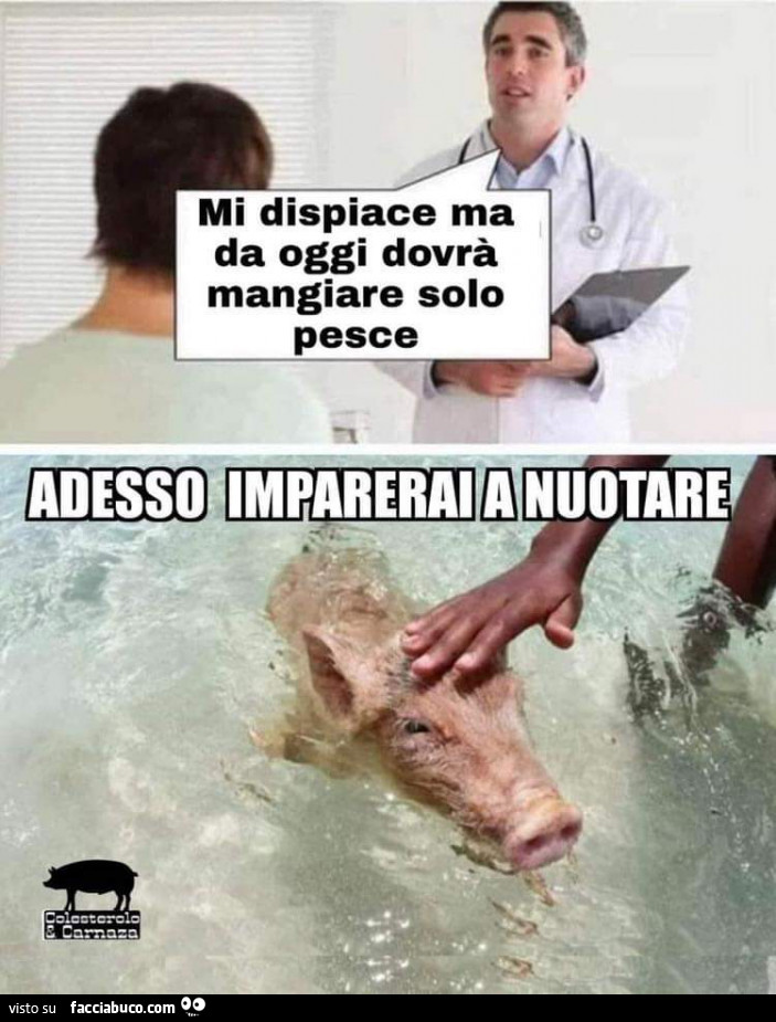 Mi dispiace ma da oggi dovrà mangiare solo pesce. Adesso imparerai a nuotare