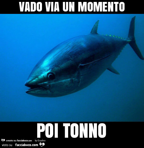 Vado via un momento poi tonno