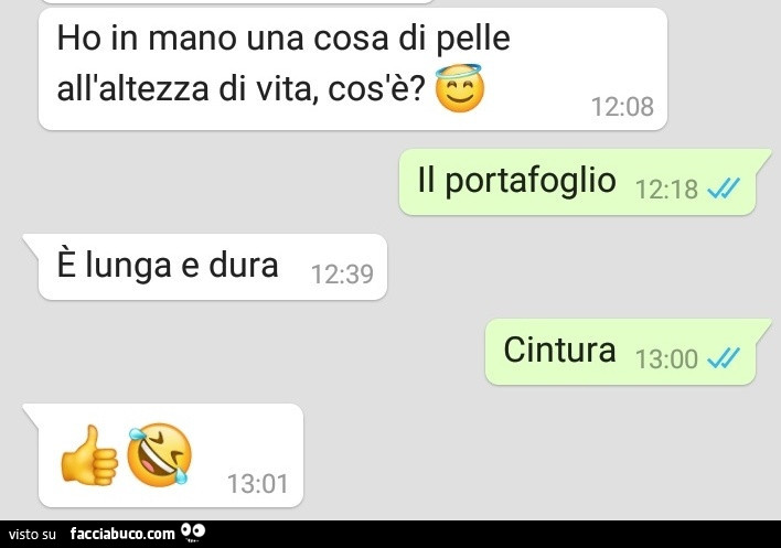 Ho in mano una cosa di pelle all'altezza di vita, cos'è? Il portafoglio. È Lunga e dura. Cintura