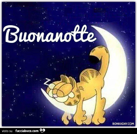 Garfield dorme sulla luna. Buonanotte