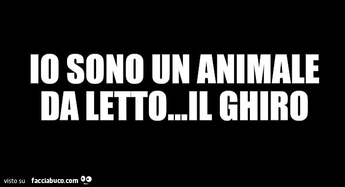 Io sono un animale da letto… il ghiro