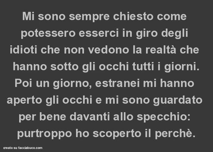 Mi sono sempre chiesto come potessero esserci in giro degli idioti che non vedono la realtà che hanno sotto gli occhi tutti i giorni. Poi un giorno, estranei mi hanno aperto gli occhi e mi sono guardato per bene davanti allo specchio: purtroppo ho scopert