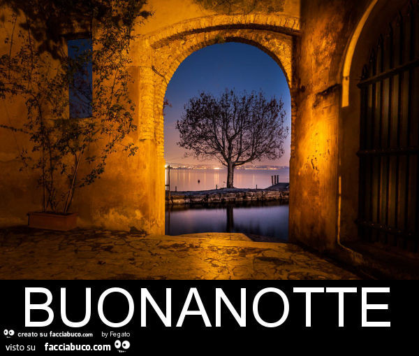 Buonanotte