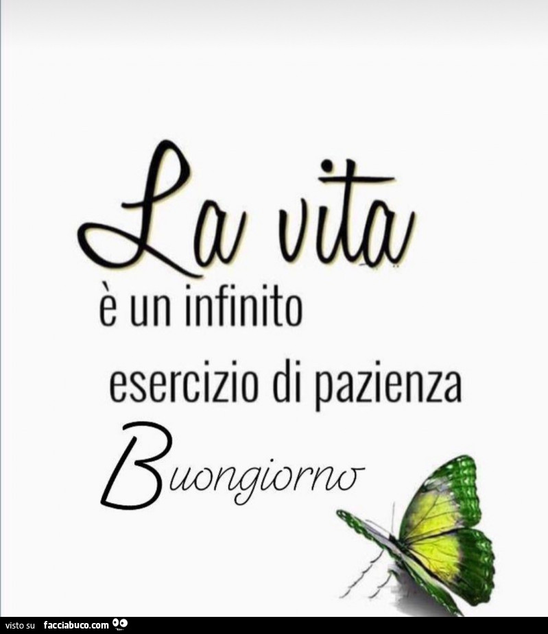 La vita è un infinito esercizio di pazienza. Buongiorno