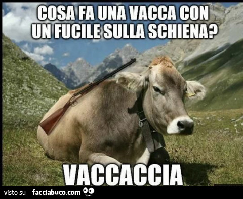 Vaccata