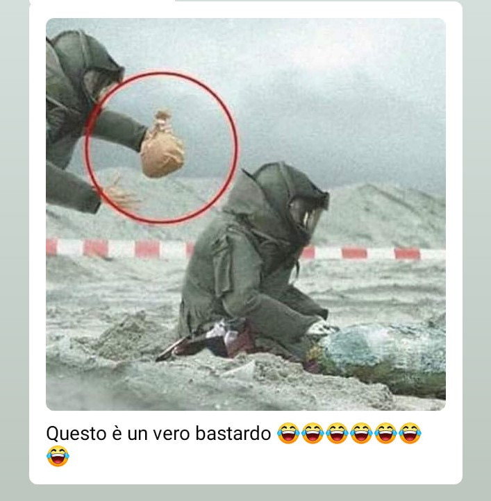 Vaccata