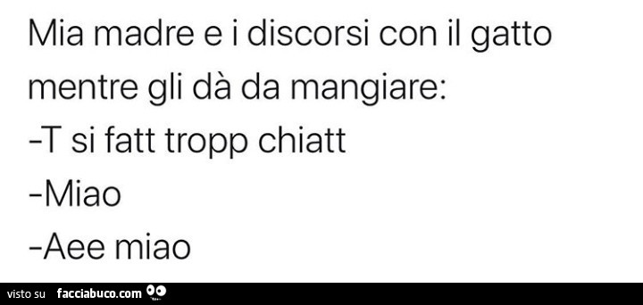 Mia madre e i discorsi con il gatto mentre gli dà da mangiare: t si fatt tropp chiatt miao aee