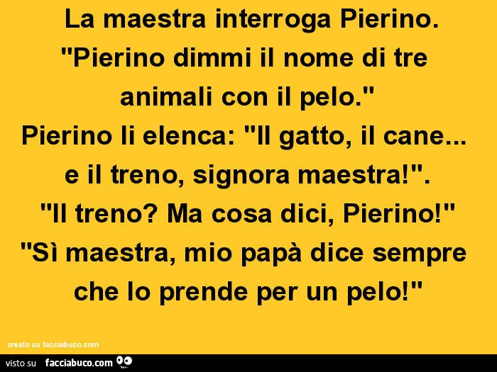 Pierino e il pelo degli animali