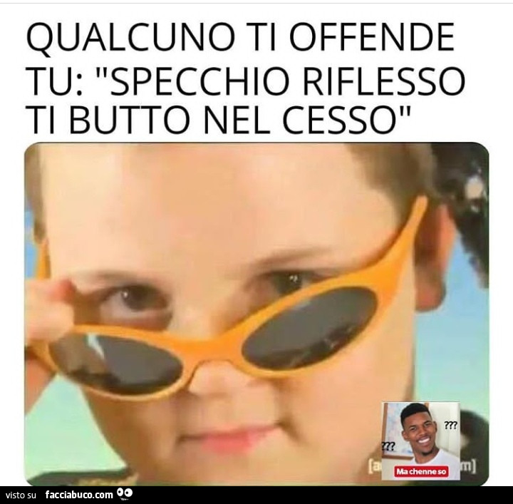 Qualcuno ti offende tu: specchio riflesso ti butto nel cesso