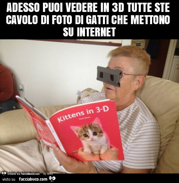 che cavolo meme sul gatto