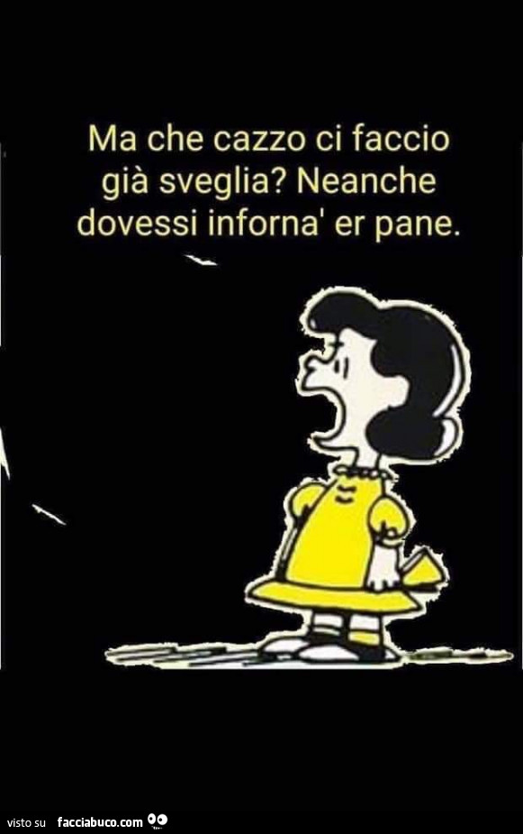Ma che cazzo ci faccio già sveglia? Neanche dovessi infornà er pane