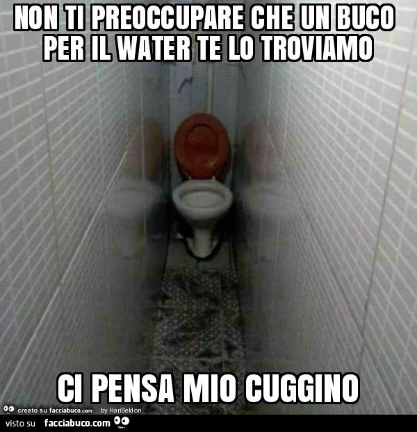 Non ti preoccupare che un buco per il water te lo troviamo ci pensa mio cuggino