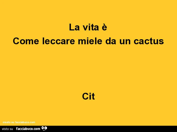 La vita è come leccare miele da un cactus cit