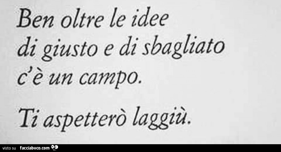 Ben oltre le idee di giusto e di sbagliato c'è un campo. Ti aspetterò laggiù