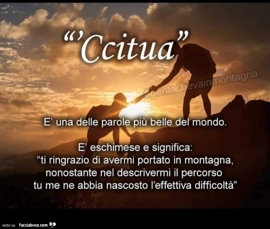 Vaccata