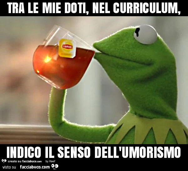 Tra le mie doti, nel curriculum, indico il senso dell'umorismo